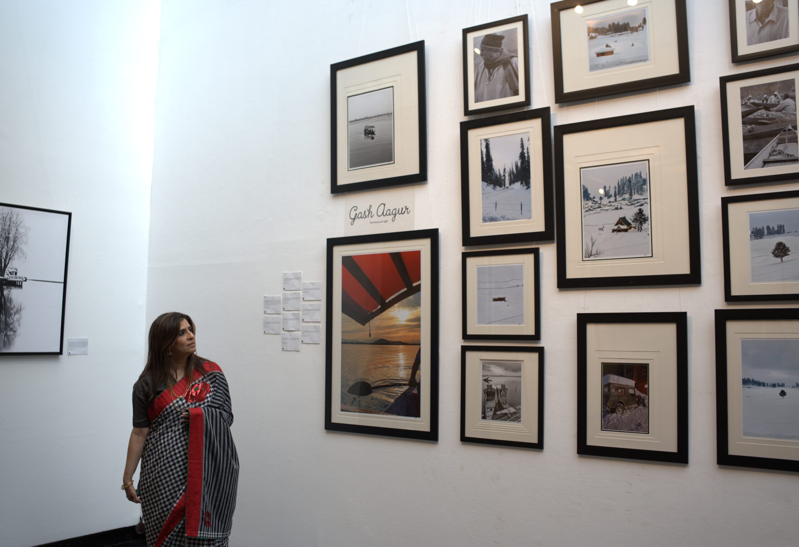 Curatorial & Exhibition Services