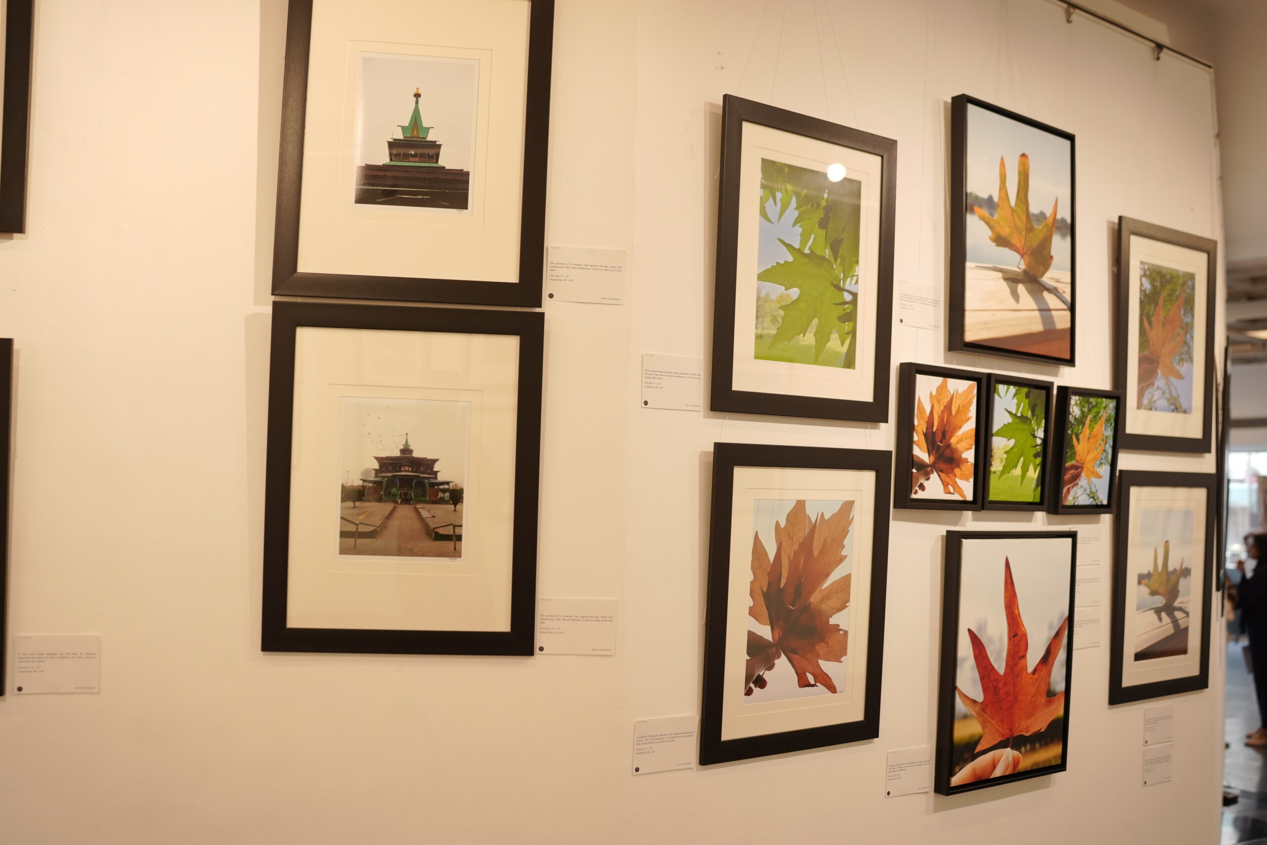 Chinar Artwork 12