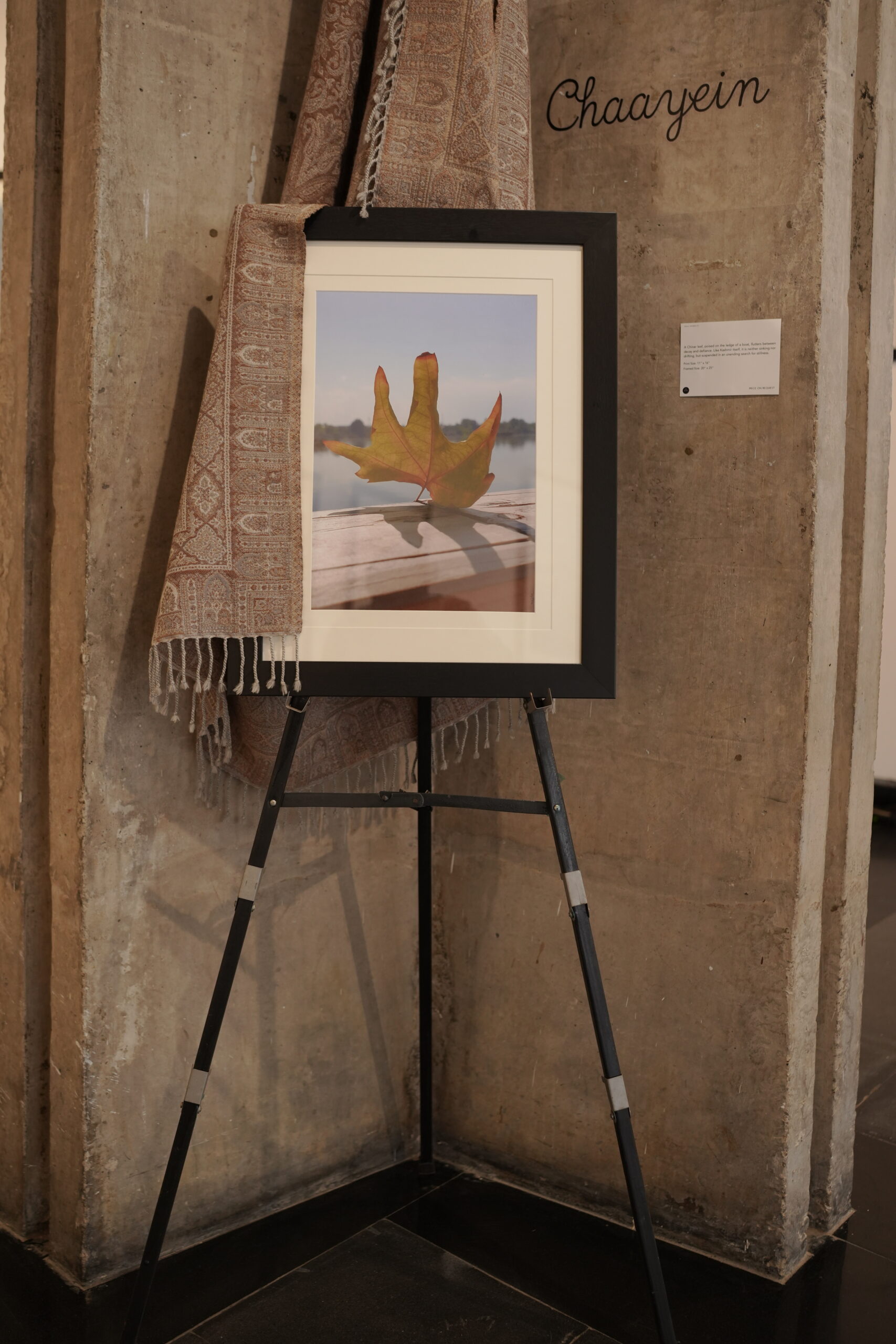 Chinar Artwork 14