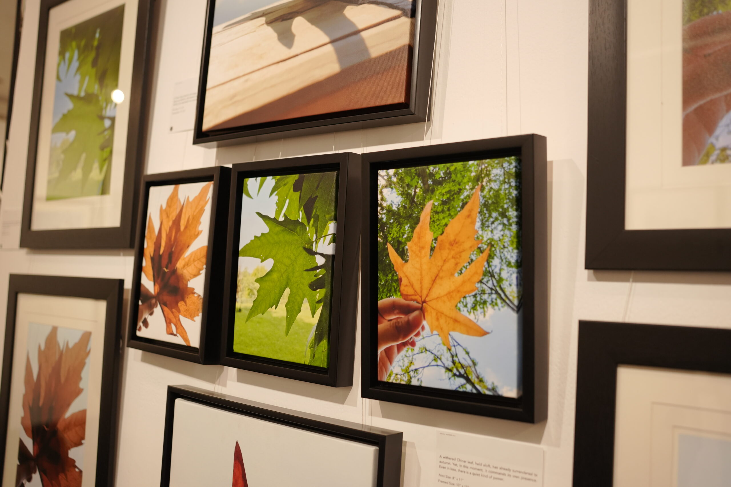 Chinar Artwork 15