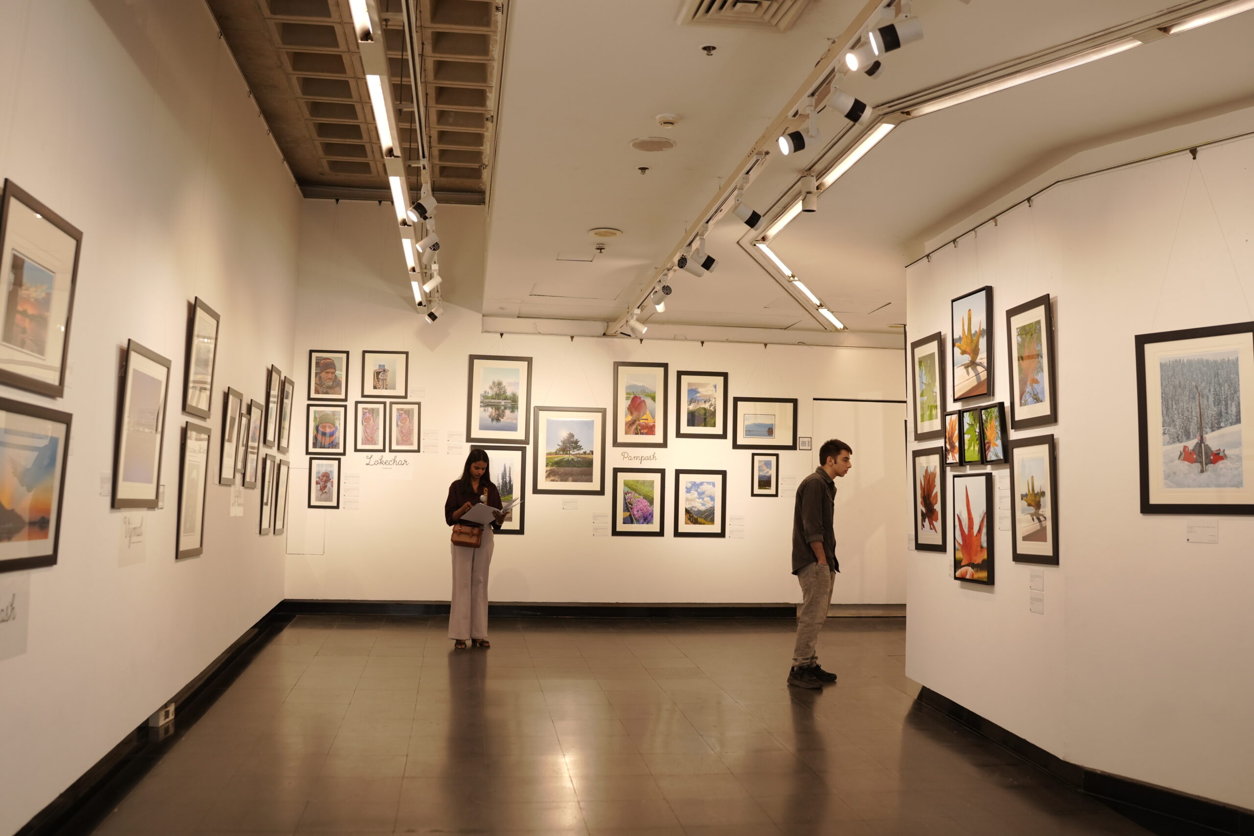 Chinar Artwork 4