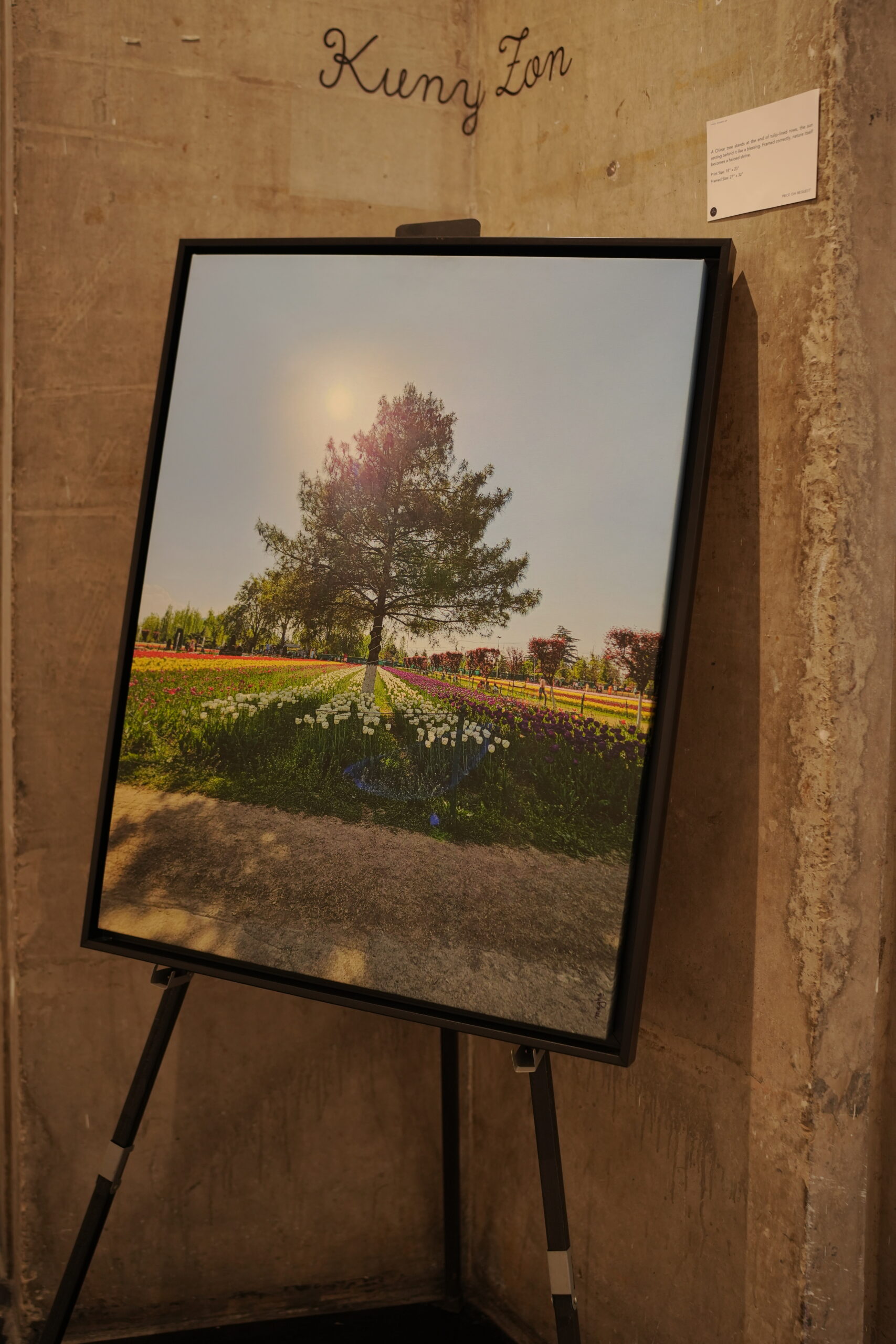 Chinar Artwork 6