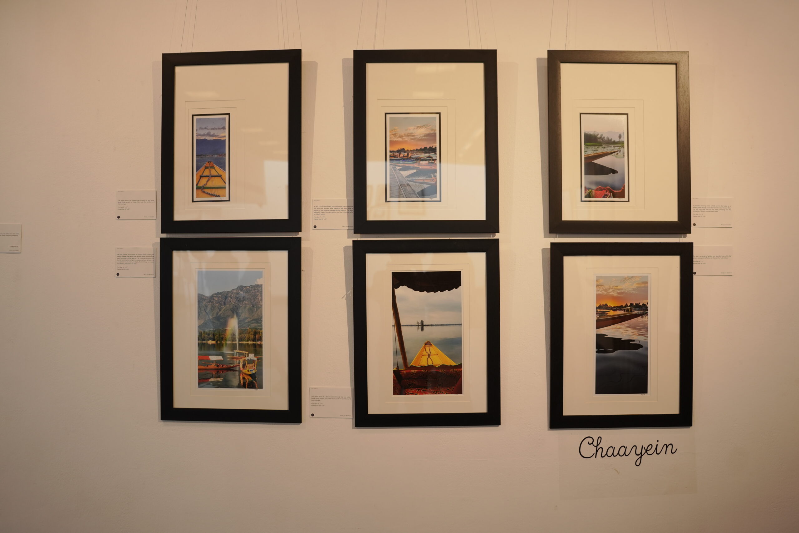 Chinar Artwork 9