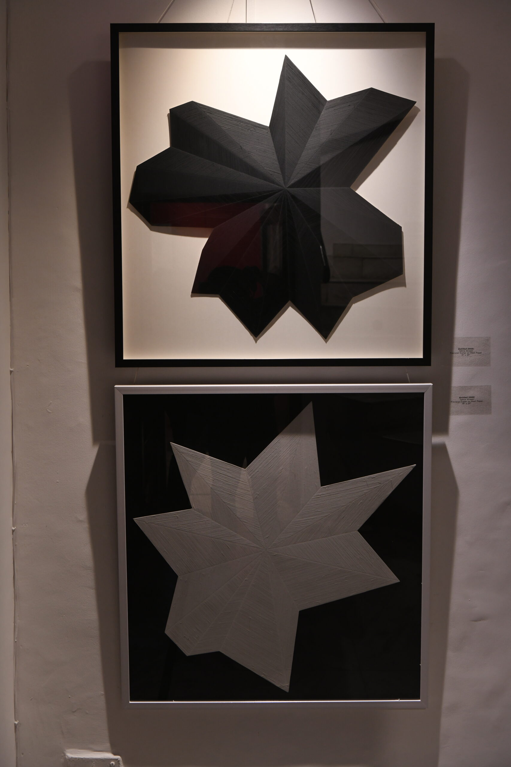 Continuum Exhibition 12